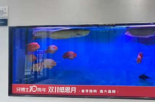 周口牙齿矫正医院