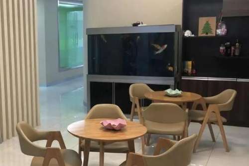 济南下门牙种植医院
