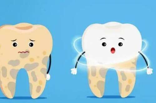 正畸可以把牙弓变小吗