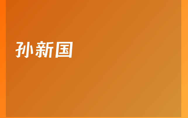 孙新国
