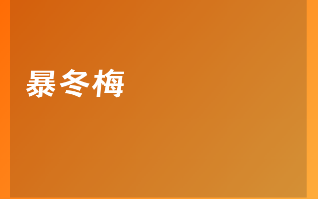 暴冬梅