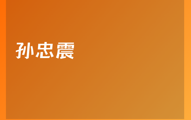 孙忠震