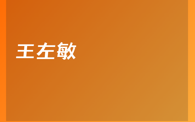 王左敏
